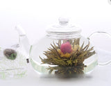Tea flowers (green tea - thé vert)